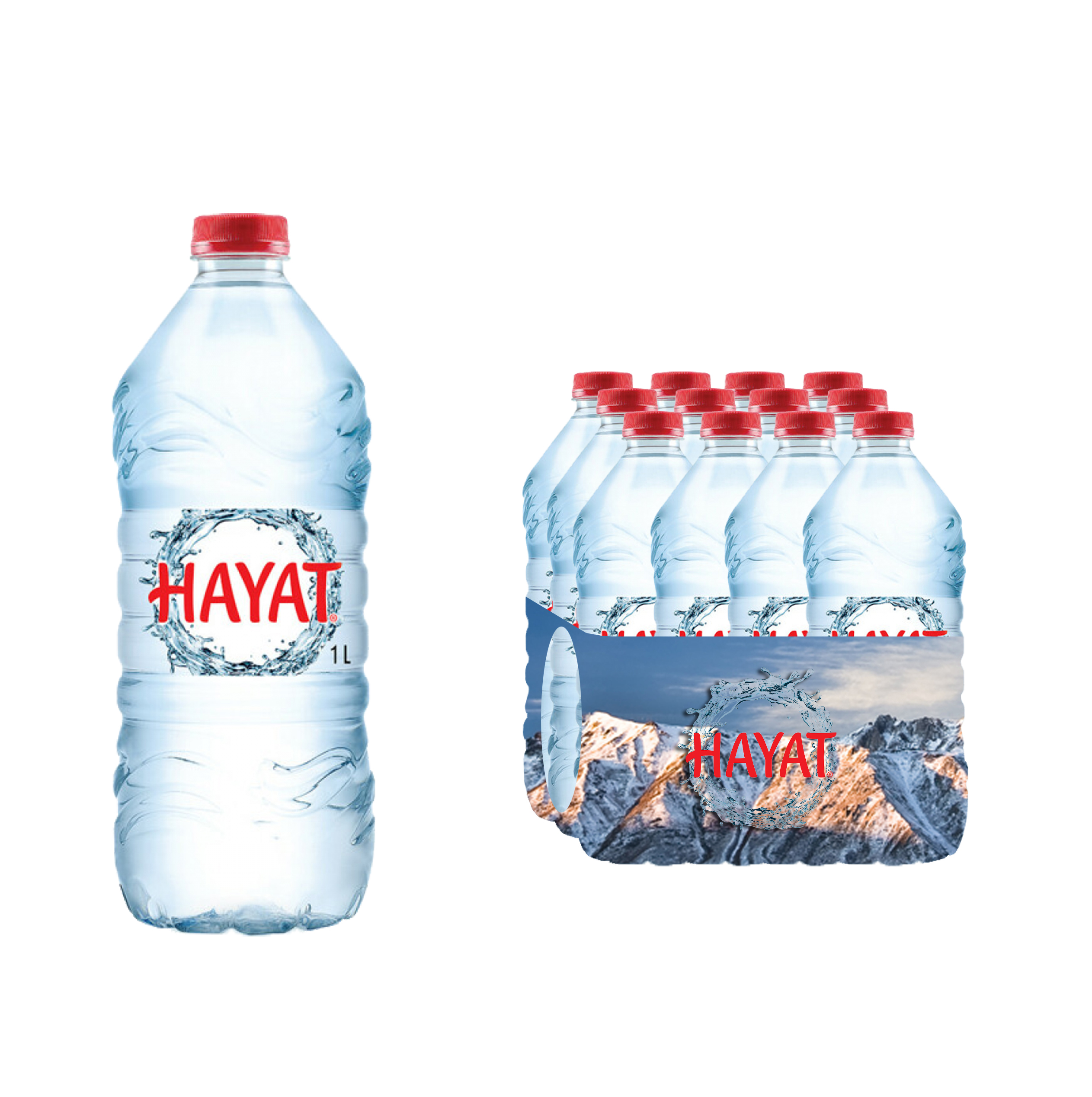 Hayat Hayat 1 lt