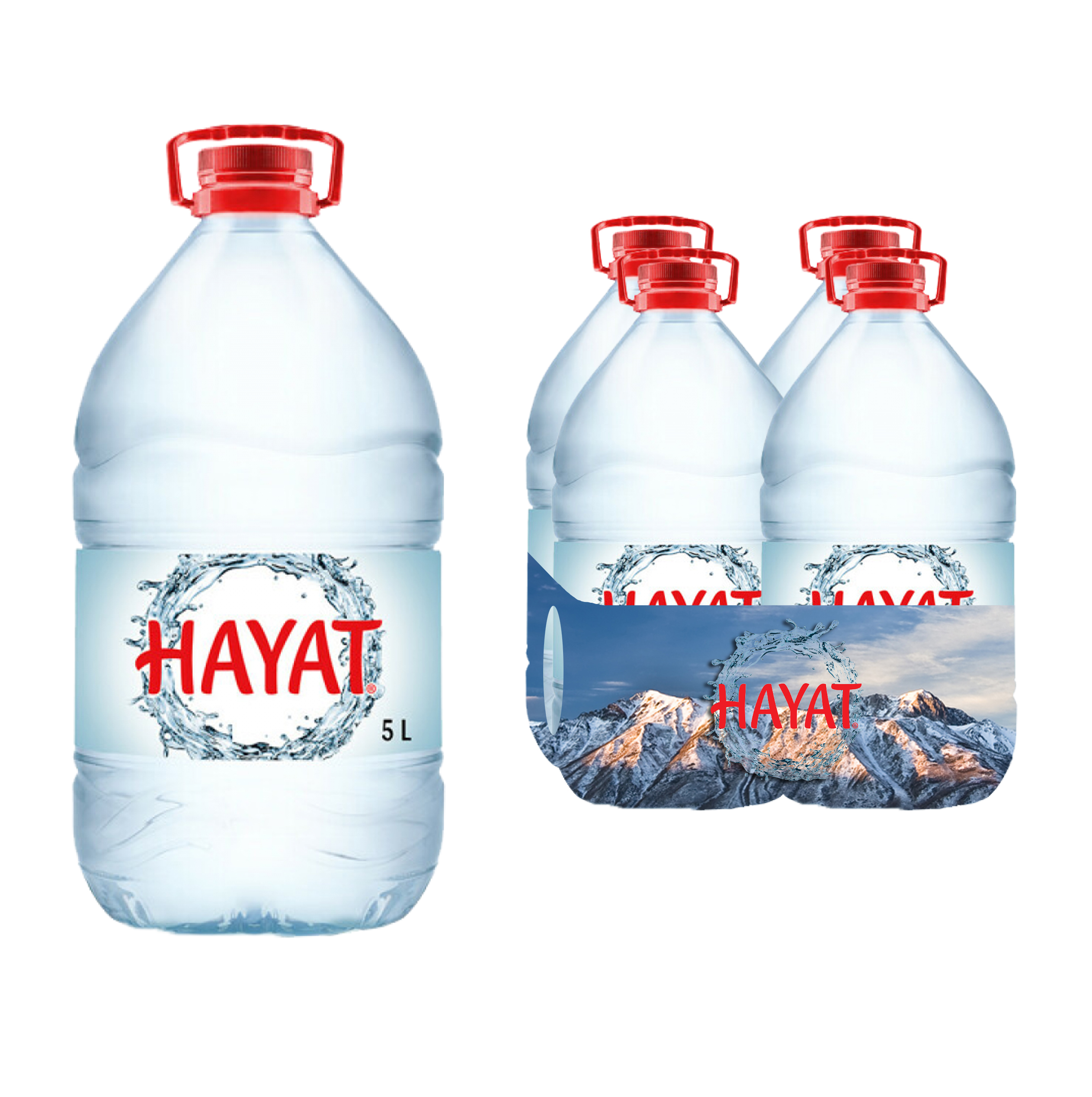 Hayat Hayat 5 lt